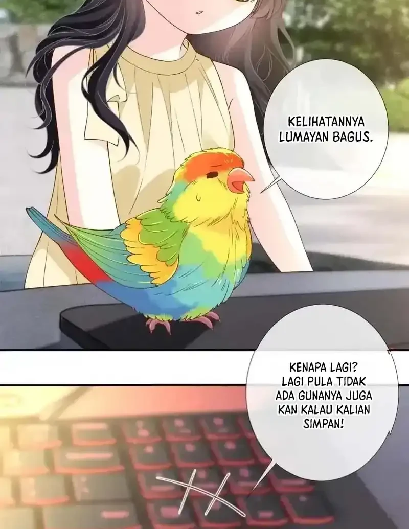 Bao Jin Wo De Xiao Majia Chapter 416 Gambar 23