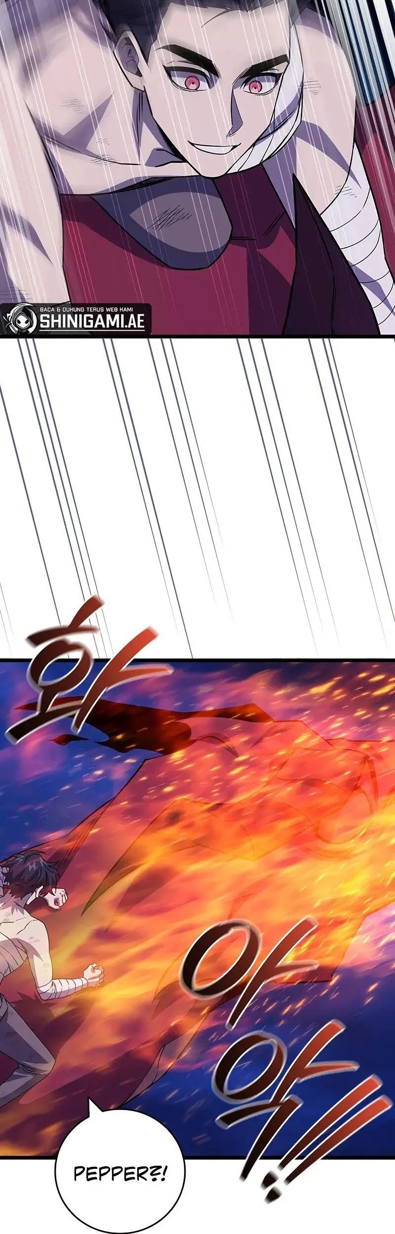 Dragon-Devouring Mage Chapter 98 halaman 41