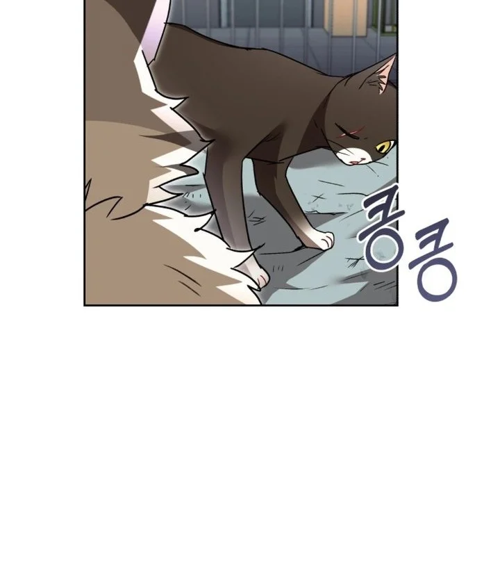 Hello? Veterinarian! Chapter 146 Gambar 42