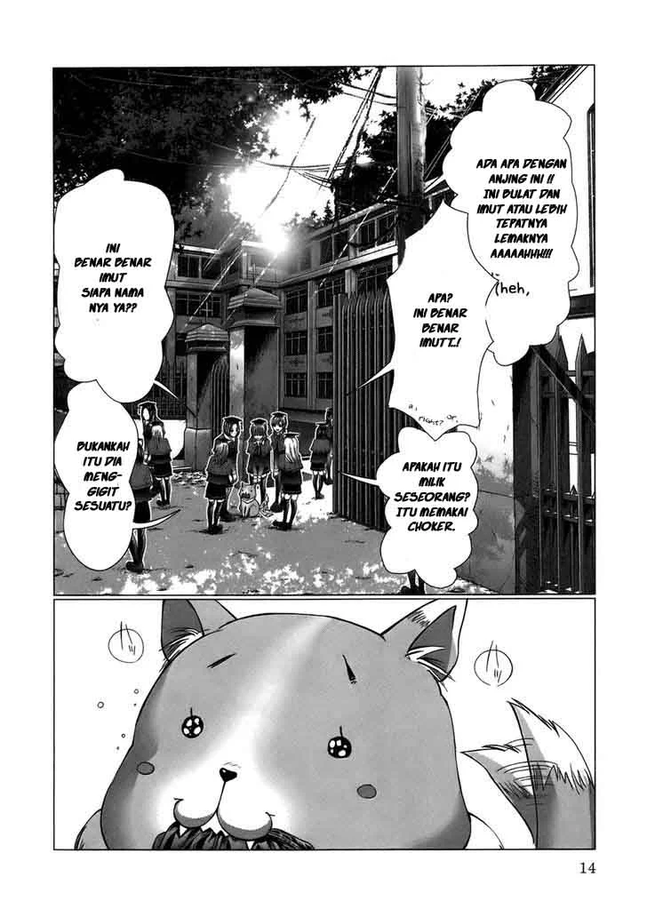 Holy Knight Chapter 1 Gambar 13