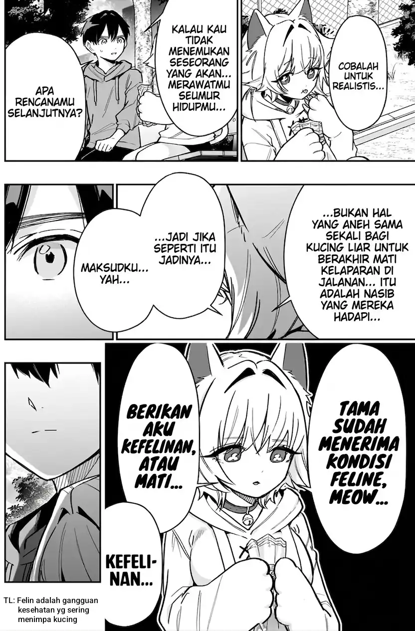 Kimi no Koto ga Dai Dai Dai Dai Daisuki na 100-ri no Kanojo Chapter 141 Gambar 13