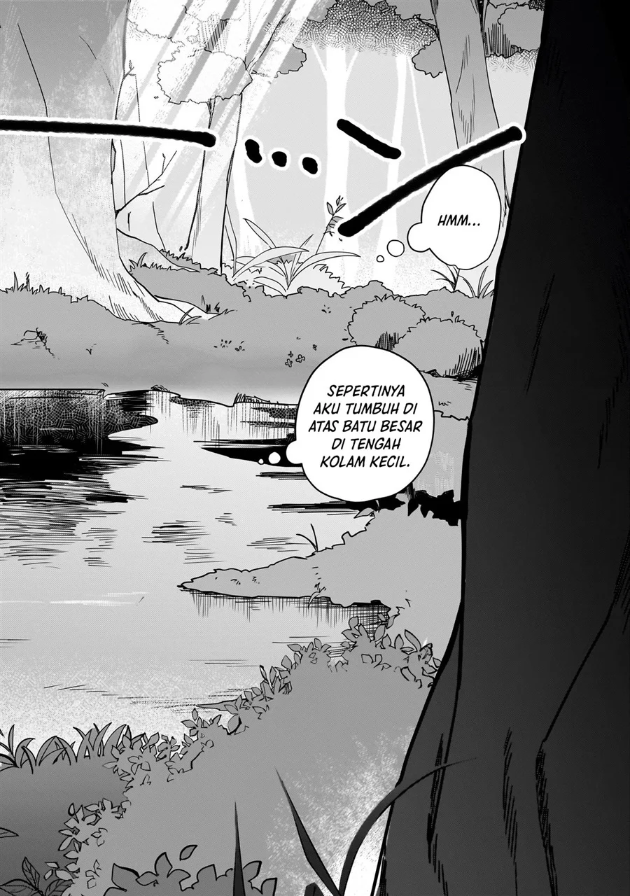 Koke kara Hajimaru Isekai Life Chapter 1 Gambar 16