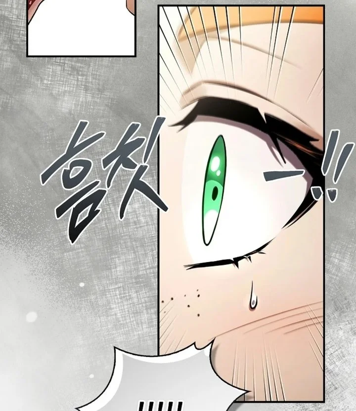 Never Mind the Heir, I’ll Focus On Healing Chapter 31 Gambar 47