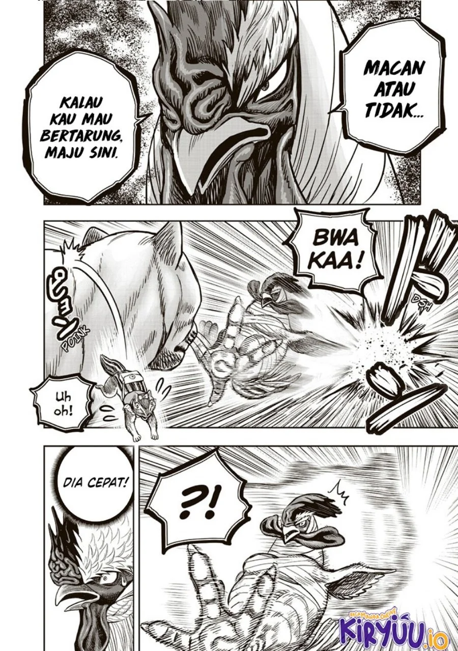 Rooster Fighter Chapter 37 Gambar 25