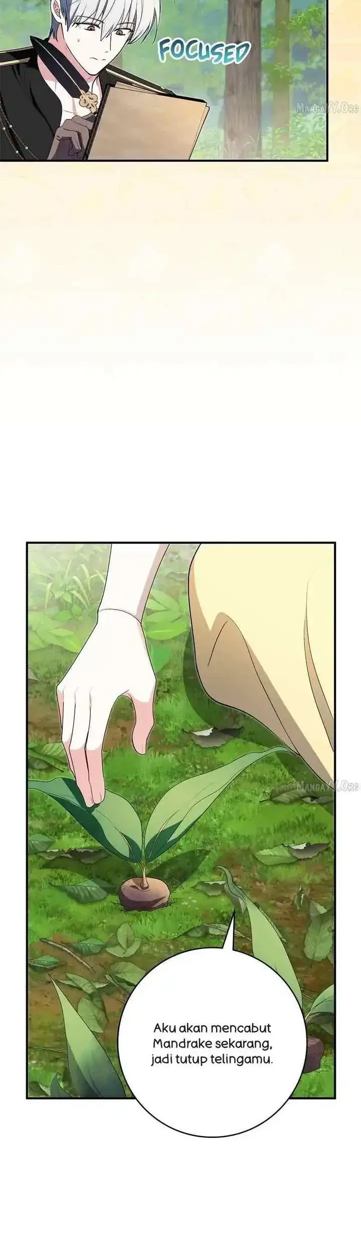 The Beloved Gardener of the World Tree Chapter 36 Gambar 34
