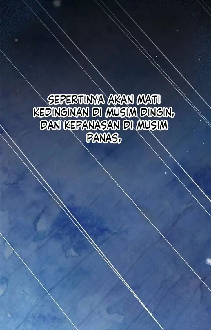 The Count’s Secret Maid Chapter 50 - Halaman 75