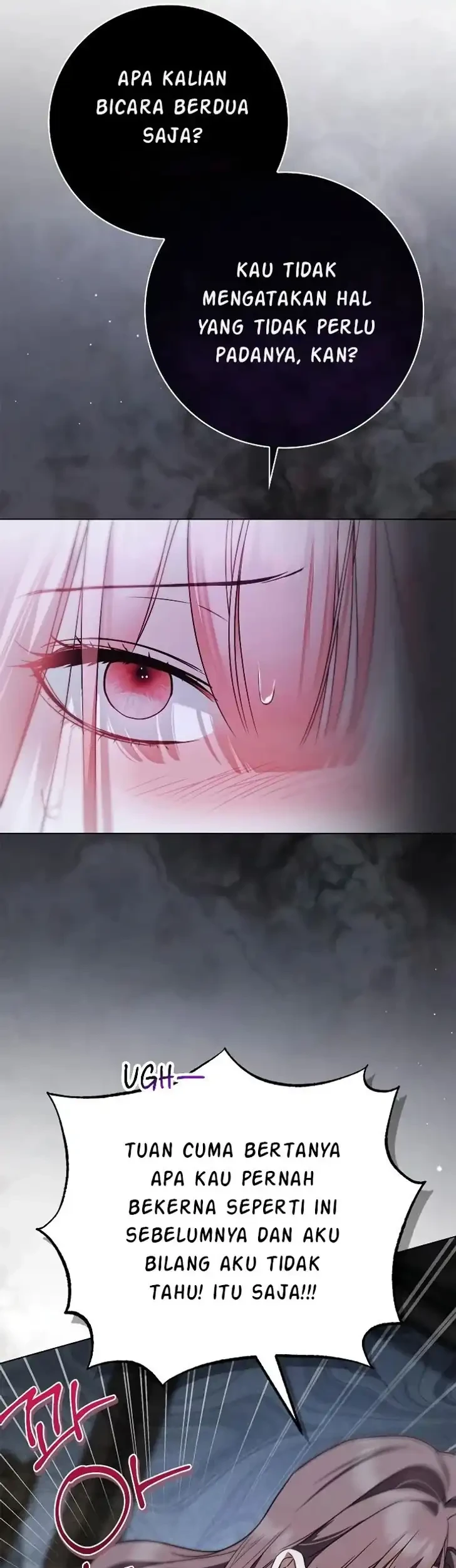 The Count’s Secret Maid Chapter 77 - Halaman 41