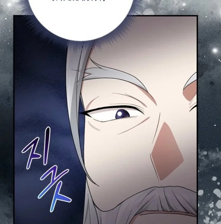 The Unintentionally Ideal Adopted Daughter Chapter 106 Gambar 46