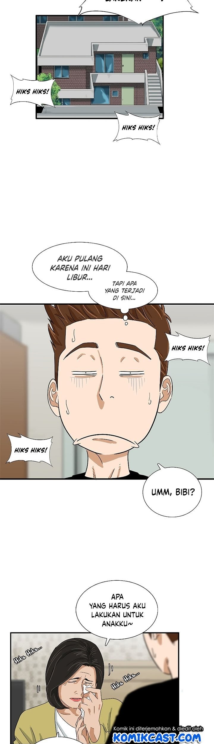 Halaman 43