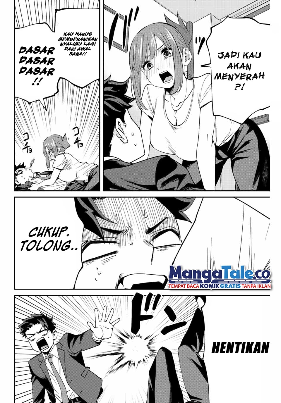 Halaman 17
