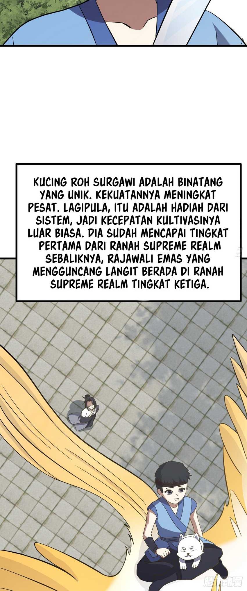 Halaman 43