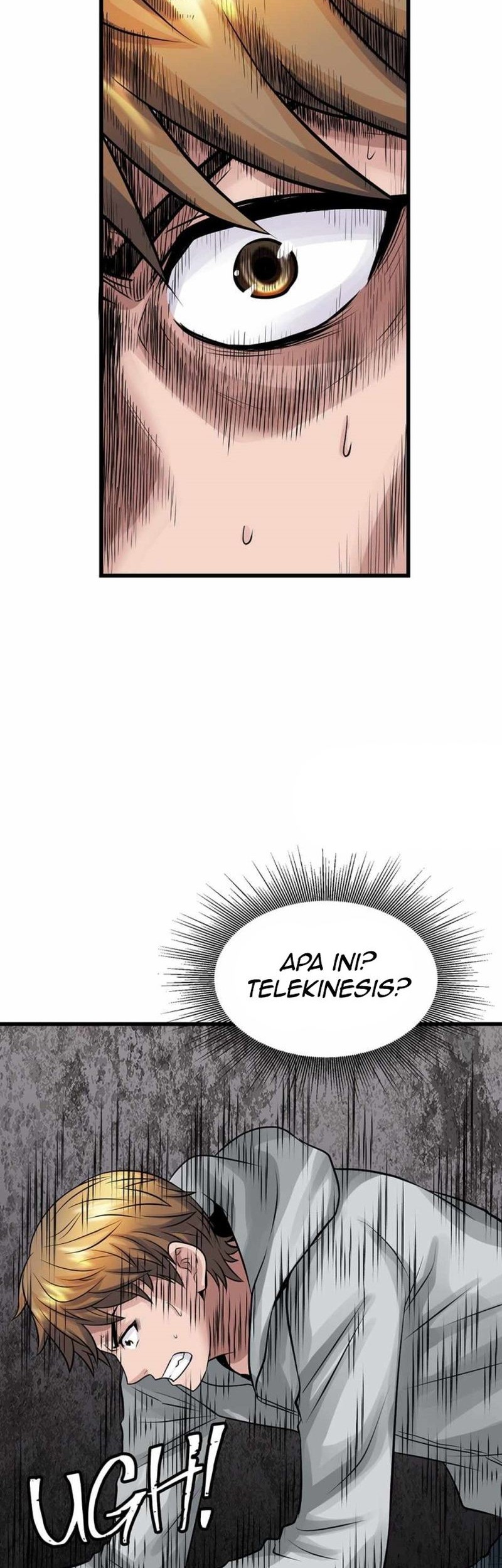 Halaman 41