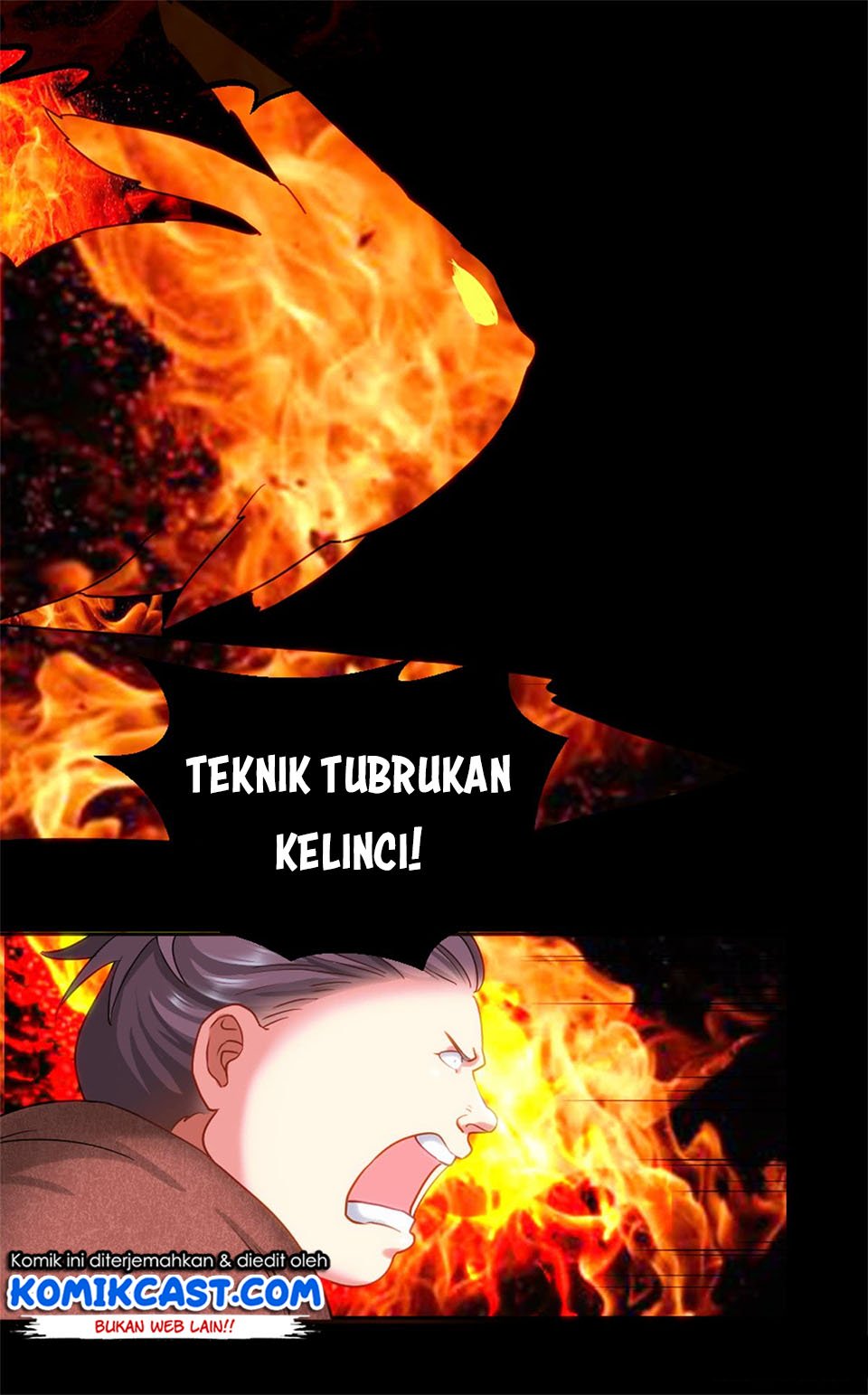 Halaman 17