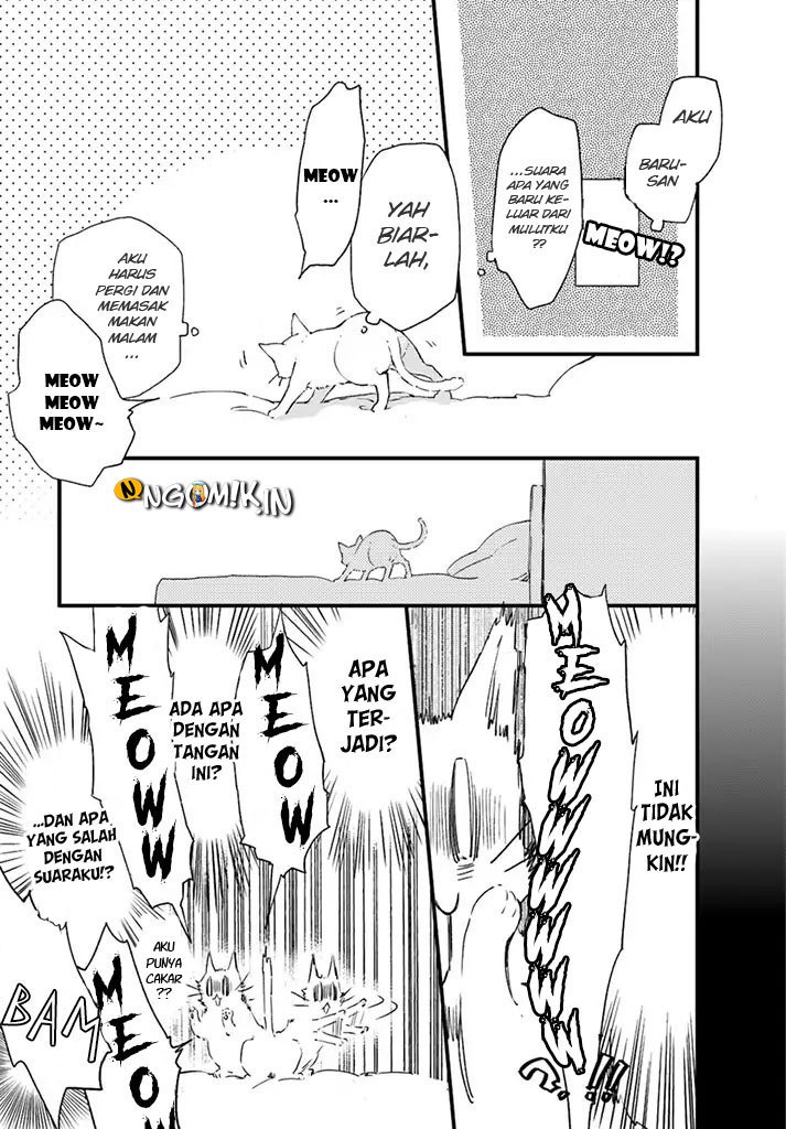 The Vengeful White Cat Lounging on the Dragon King’s Lap Chapter 05 Gambar 19